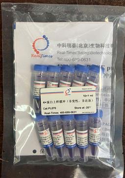 4×蛋白上樣緩沖（非變性，非還原）