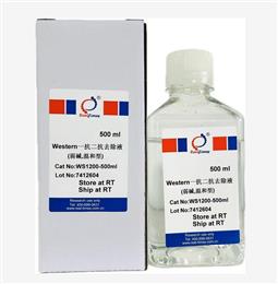 Western一抗二抗去除液（弱堿，溫和型）